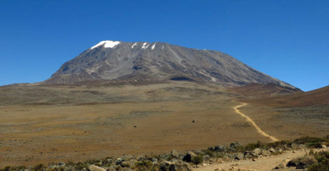 Der Kilimanjaro
