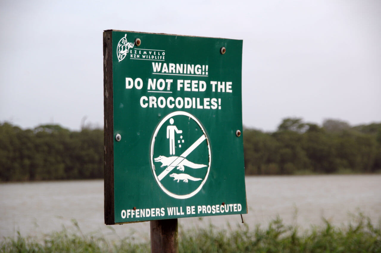 Do not feed the crocodiles